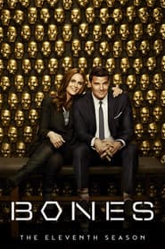 Temporada 11