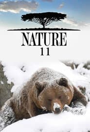 Temporada 11