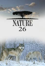 Temporada 26
