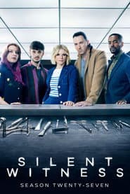 Temporada 27