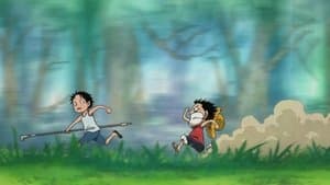 Luffy y Ace ¡La historia del encuentro entre los hermanos!