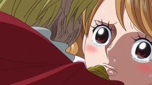 El fin de la aventura. ¡La decidida proposición de Sanji!